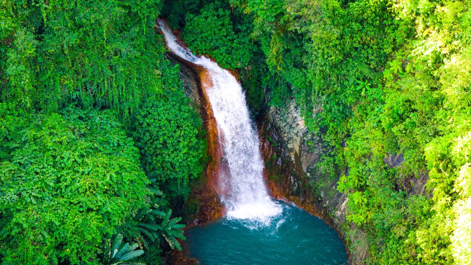 Cebu travel packages