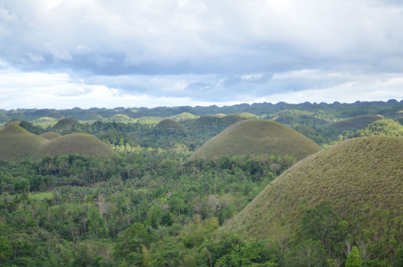Bohol travel packages