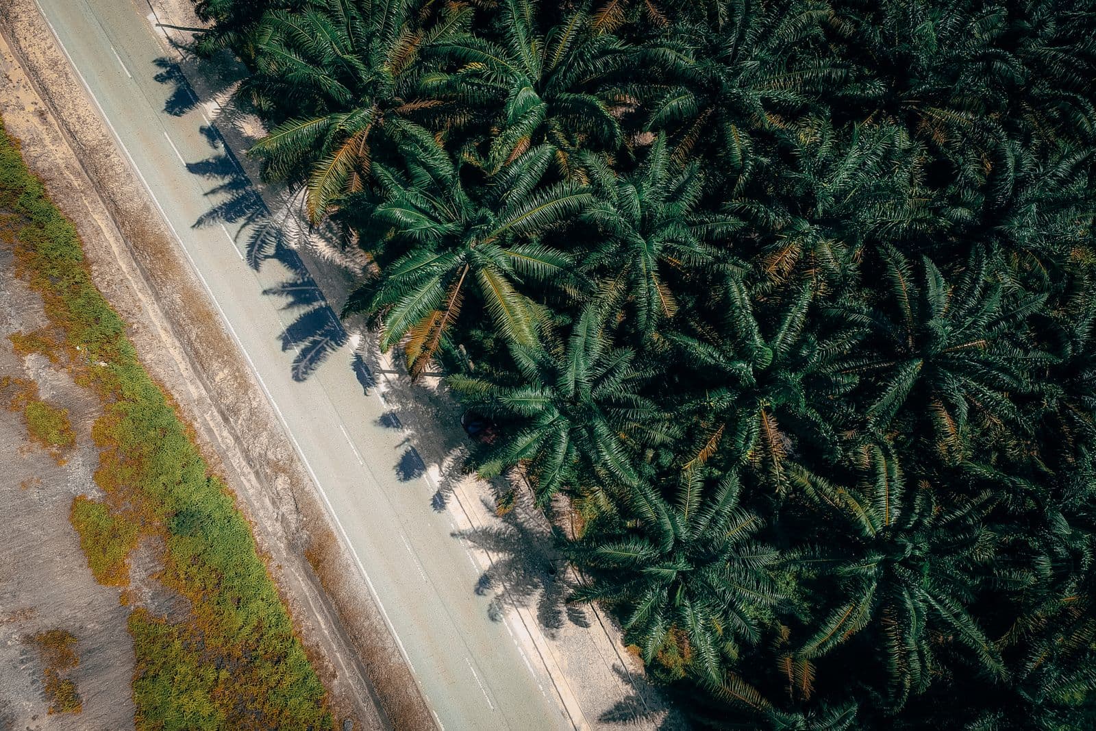 Siargao — travel destination